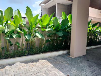 Image of 5000 Sq.ft 4 BHK Independent House for sale in Kakkanad, Kochi for Rs. 42000000