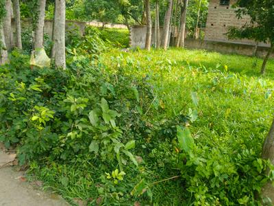 Image of 2880 Sq.ft Residential Plot / Land for sale in Krishnanagar, Nadia for Rs. 3000000