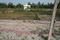 mahadevpuram Plot View 2