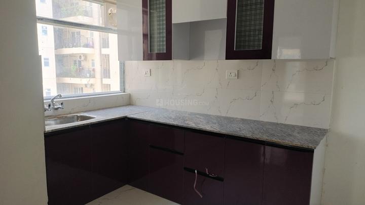 Pivotal Paradise Main Image 1