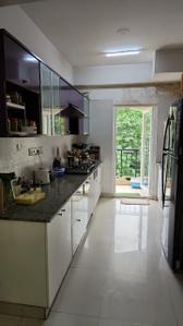 Kitchen Image of 1800 Sq.ft 3 BHK Builder Floor for rent in Mussoorie Road Dehradun for Rs. 43000