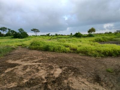 Image of 1089 Sq.ft Residential Plot / Land for sale in Ranjanpada, Navi Mumbai for Rs. 1250000