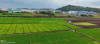 Image of 336 Sq.ft 1 BHK Apartment / Flat for sale in Maple Aapla Ghar Chakan Talegaon, Chakan, Pune for Rs. 1900000