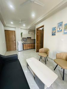 Hall Image of 800 Sq.ft 1 BHK Apartment / Flat for rent in Model Town Ludhiana for Rs. 17500