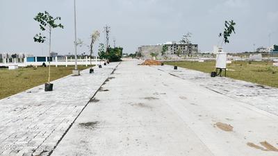Beltarodi Plot View 1