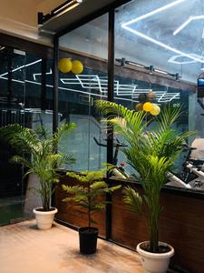 Balcony Image of Rama hostel in Knowledge Park 2, Greater Noida