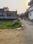Paharia Plot View 2