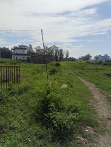 Image of 1240 Sq.ft Residential Plot / Land for sale in Haldwani, Nainital for Rs. 4588000