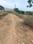 Godisahi Plot View 2