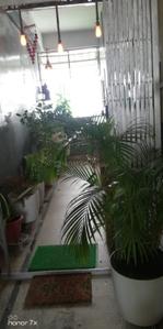 Main Entrance Image of 1447 Sq.ft 3 BHK Apartment / Flat for sale in Barbari Village Guwahati for Rs. 12500000