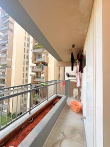 Balcony Image of 1765 Sq.ft 3 BHK Apartment / Flat for rent in Myscape Sanctuary, Hafeezpet Hyderabad for Rs. 65000