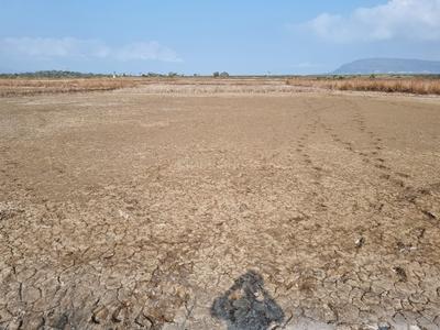 City Prop Plot in Dronagiri Plot View 3