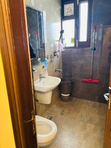 Image of 835 Sq.ft 2 BHK Apartment / Flat for rent in Gillco Palms, Sector 115, Mohali for Rs. 25000