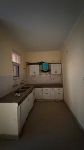 Kitchen Image of 1000 Sq.ft 2 BHK Builder Floor for sale in JTPL City Plots, Sector 115 Mohali for Rs. 3270000