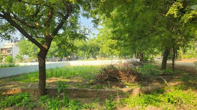 Image of 325 Sq.ft Residential Plot / Land for sale in Koba, Gandhinagar for Rs. 39000000