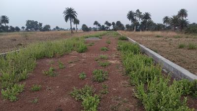 Image of 1000 Sq.ft Residential Plot / Land for sale in Naya Raipur, Raipur for Rs. 380000