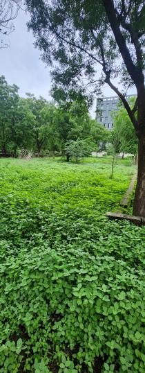 Radhe bungalow Main Image 1