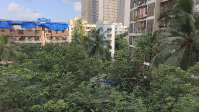 Image of 560 Sq.ft 1 BHK Apartment / Flat for sale in Sadguru Heights I, Dahisar East, Mumbai for Rs. 9500000