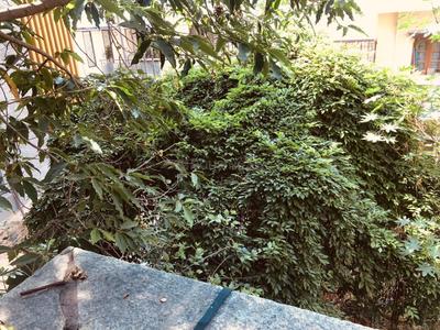 Image of 3600 Sq.ft 4 BHK Independent House for sale in JP Nagar, Bengaluru for Rs. 23000000