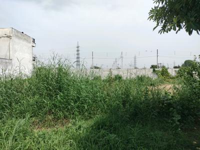 Sector 77 Plot View 2