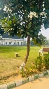 Image of 1080 Sq.ft Residential Plot / Land for sale in Krish Harmony Villas, Daganheri, Bhiwadi for Rs. 6000000