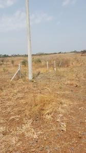Image of 16335 Sq.ft Residential Plot / Land for sale in Shirur, Pune for Rs. 9000000