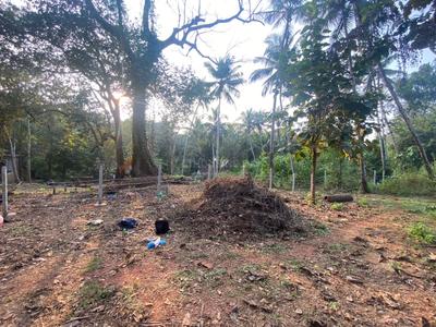 Priol Plot View 1