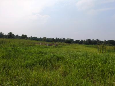 Image of 2880 Sq.ft Residential Plot / Land for sale in Nest Valley, Joka, Kolkata for Rs. 600500