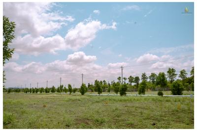 Image of 1200 Sq.ft Residential Plot / Land for sale in Sarjapur, Bengaluru for Rs. 1558800