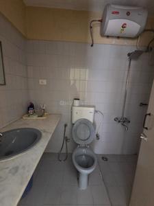 Bathroom Image of 1250 Sq.ft 2 BHK Apartment / Flat for rent in Clover Trump, Sangamvadi Pune for Rs. 50000