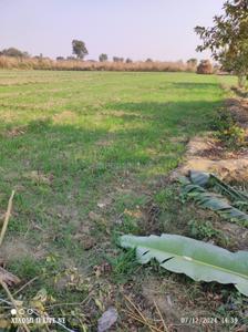 Image of 15525 Sq.ft Residential Plot / Land for sale in Kursauli, Kanpur for Rs. 3800000