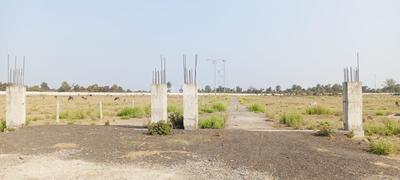 Ethora Plot View 3