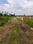 Nest Valley Main Image 1