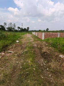 Nest Valley Internal Roads 1