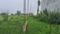 Society  Plot View 2