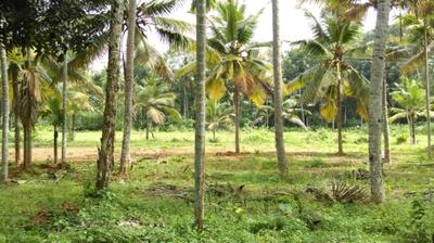 Image of 2178 Sq.ft Residential Plot / Land for sale in Kurishumoodu, Kottayam for Rs. 2000000