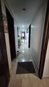 Image of 2500 Sq.ft 4 BHK Builder Floor for rent in Greater Kailash I, New Delhi for Rs. 170000