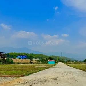 Tilwari Plot View 2