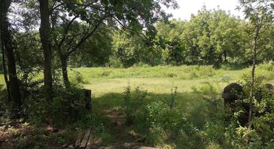 Amrakunj bunglows Plot View 3
