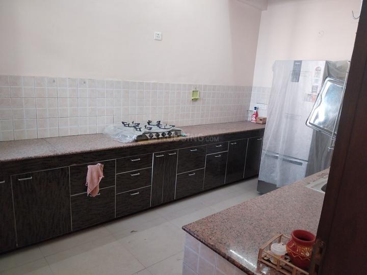 The Hare Krishna Main Image 1