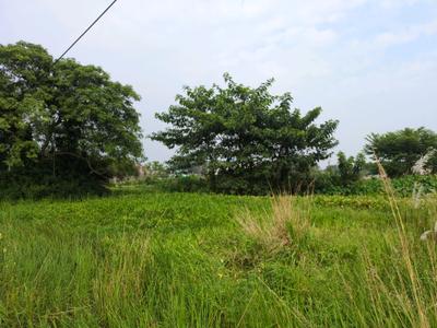 Image of 720 Sq.ft Residential Plot / Land for sale in Raspunja Township, Joka, Kolkata for Rs. 233333