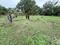 New Ranjhi Plot View 2