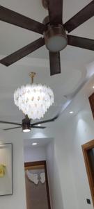 Hall Image of 650 Sq.ft 2 BHK Builder Floor for sale in Indirapuram Ghaziabad for Rs. 5600000