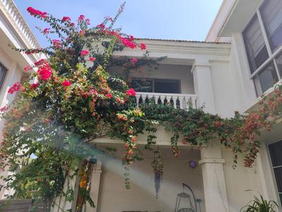 Balcony Image of 4800 Sq.ft 4 BHK Villa for rent in Hiranandani Villas, Chikkasanne Bengaluru for Rs. 200000