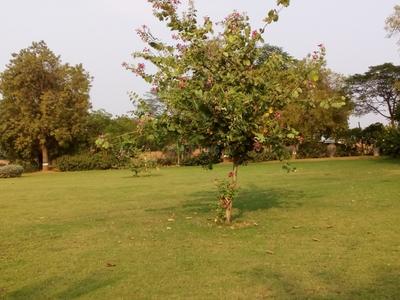 Image of 517 Sq.ft Residential Plot / Land for sale in Bavla, Ahmedabad for Rs. 4446200
