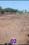 Pandur, Kumuzhi R.F. Plot View 2