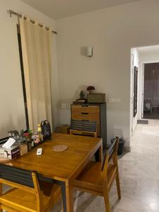 Hall Image of 1920 Sq.ft 3 BHK Apartment / Flat for rent in Ireo The Corridors, Sector 67 Gurgaon for Rs. 60000