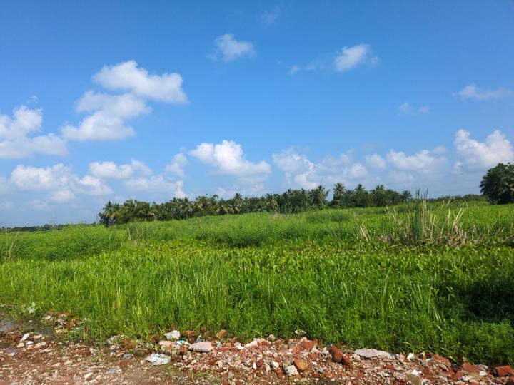 Wander Valley Main Image 1