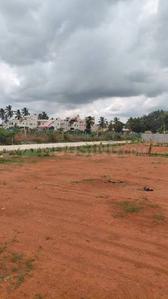 Chathapuram Plot View 1