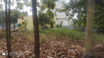 Image of 480 Sq.ft Residential Plot / Land for sale in Naspur, Mancherial for Rs. 5500000